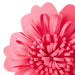 Close‑up of coral‑pink flower bow 