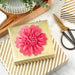 Coral pink flower gift bow on a present 