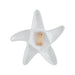 A white star-shaped dish featuring a gold star design on its surface.