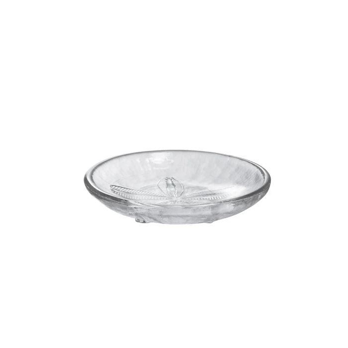 A white plate showcasing a sand dollar pattern, elegantly designed.
