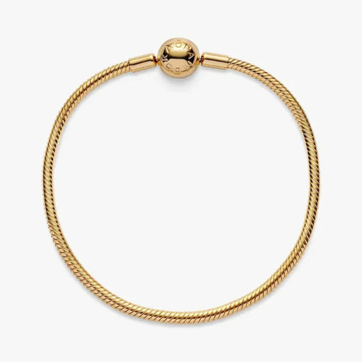 Pandora Moments Snake Chain Bracelet designed to hold personalized Pandora charms.
