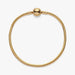 Pandora Moments Snake Chain Bracelet designed to hold personalized Pandora charms.