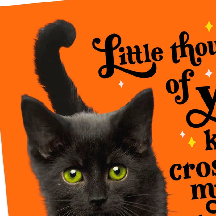 Hallmark Halloween greeting card with adorable black cat and festive seasonal lettering