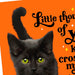 Hallmark Halloween greeting card with adorable black cat and festive seasonal lettering