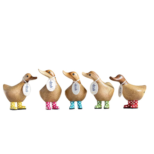 "DCUK Spotty Boots Ducky hand-carved bamboo root duck figurine with spotty boots, assorted boot colors  on a white background 