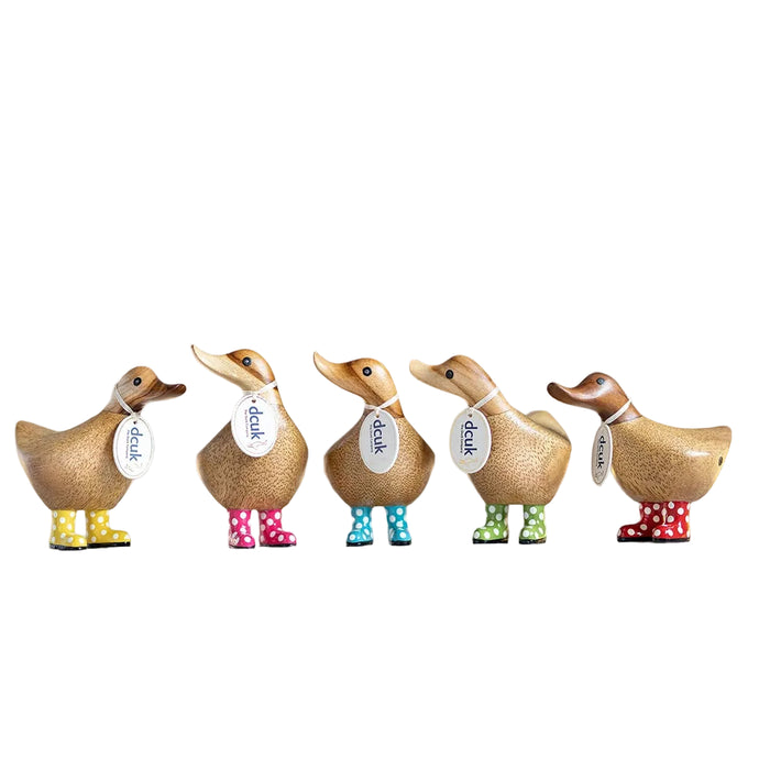 "DCUK Spotty Boots Ducky hand-carved bamboo root duck figurine with spotty boots, assorted boot colors  on a white background 
