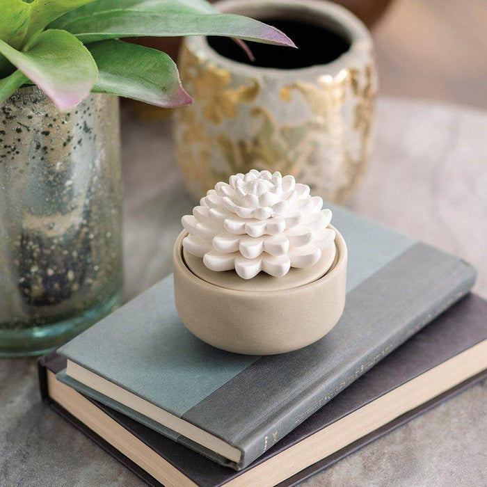 "Succulent Porcelain Diffuser -"