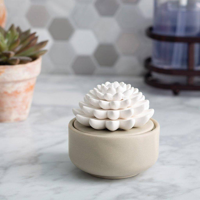 "Succulent Porcelain Diffuser -"