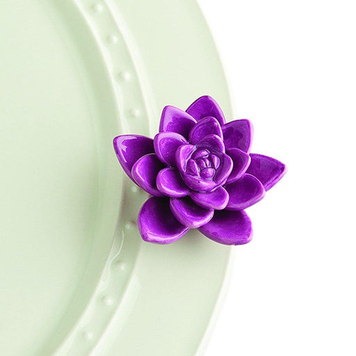 annie's succulents Nora Fleming Get Growing Mini