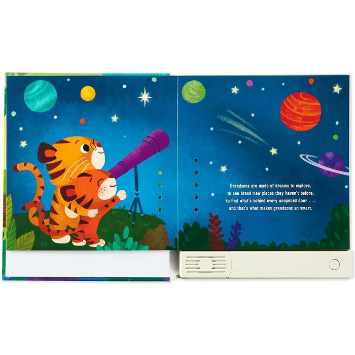 "Hallmark : What Are Grandsons Made Of? Recordable Storybook -"
