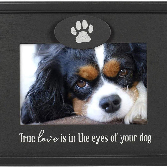 "Malden : 4\" X 6\" \"True Love in Eyes of Dog\" Picture frame - Black at Annie's Hallmark"