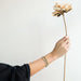 "Scout Curated Wears : Delicate Stone African Turquoise - Stone of Transformation -"