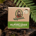 "Dr. Squatch : Men's Alpine Sage Bar Soap -"