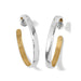 "Brighton : Ferrara Entrata Medium Hoop Earrings -"
