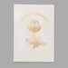 "5\" H Deluxe White/Gold Padded Pearlized Communion Book -"