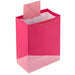 "Hallmark : 13\" Happy Birthday on Pink Large Gift Bag -"