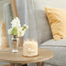 "Yankee Candle : Signature Medium Jar in Vanilla Cupcake - Yankee Candle : Signature Medium Jar in Vanilla Cupcake"