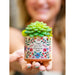 "Natural Life : Mini Artisan Planter - Thank You - Natural Life : Mini Artisan Planter - Thank You"