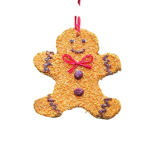 gingerbread man bird feeder