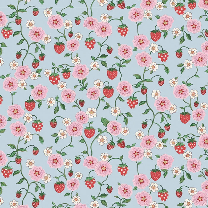 Opportunities Strawberries in the Meadow single-layer blanket featuring a colorful strawberry and meadow-inspired pattern on soft, lightweight fabric.
