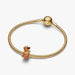 A dog proudly displays its collar featuring a gleaming gold chain.