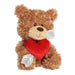 A brown teddy bear featuring a heart and arrow, conveying a message of love and tenderness.