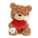 A cute brown teddy bear with a heart pierced by an arrow, representing love and warmth.