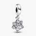 Elevate your love for your best friend with the Sparkling Pet Paw Print Dangle Charm.