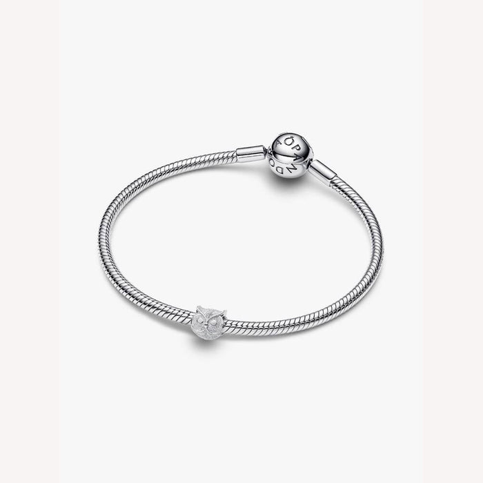 Silver bracelet with a heart-shaped charm on a white background