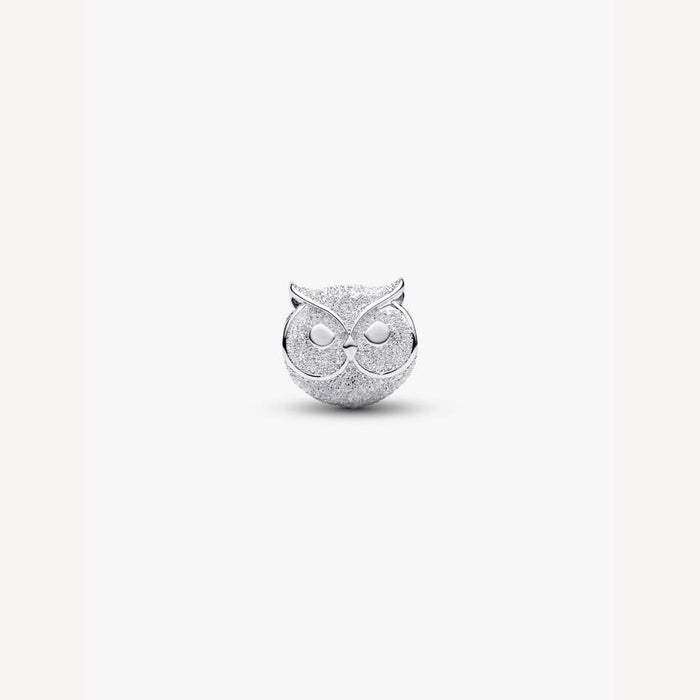 Silver owl-shaped charm on a white background