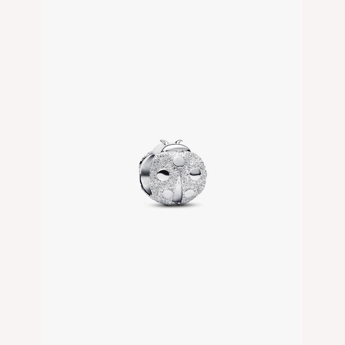 Silver charm with clear stones on a white background
