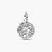 Dolphin Medallion Charm featuring a detailed dolphin design