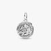Dolphin Medallion Charm featuring a detailed dolphin design