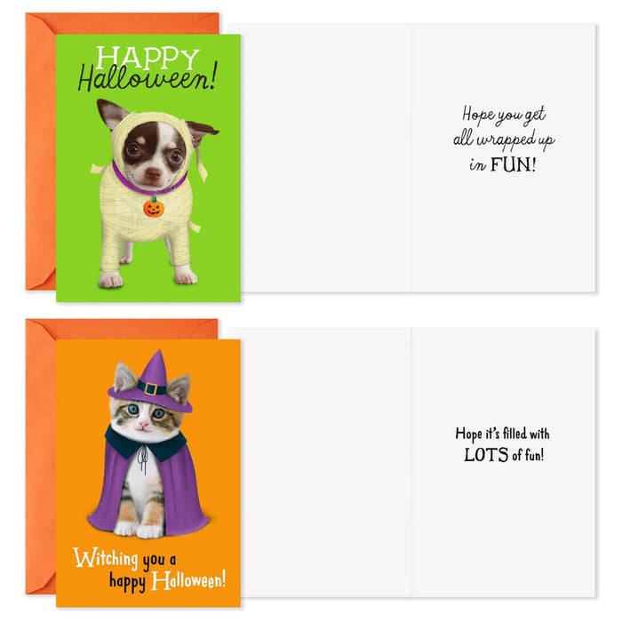 Hallmark Halloween greeting cards with dogs and cats in costumes