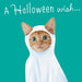 Hallmark Halloween greeting cards with dogs and cats in costumes