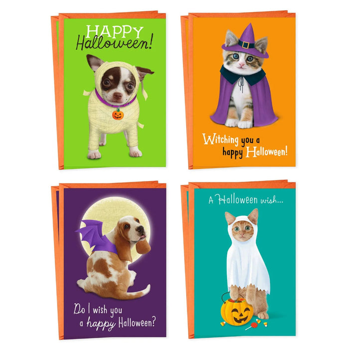 Hallmark Halloween greeting cards with dogs and cats in costumes