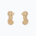 Cuties gold detailed seahorse earrings with a delicate coastal-inspired design