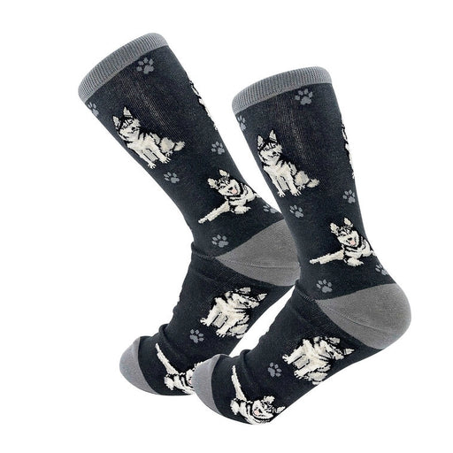 siberian husky pair of socks