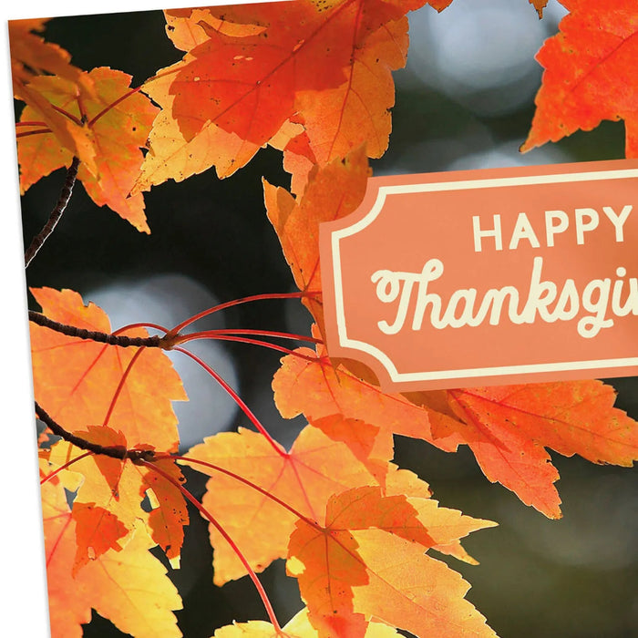 Hallmark Orange Autumn Leaves Thanksgiving card featuring vibrant orange fall leaves on a dark background with foil accents.