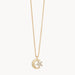 Wear our Shooting Star Necklace as a reminder to make your dreams come true. 