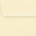 A set of thank you cards adorned with vibrant butterflies, showcasing a variety of colors and artistic styles.