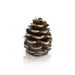Pretty pinecone ready for decoration