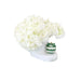White hydrangeas in a vase on a green and white checkered cloth with a striped ornament.