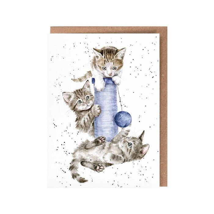  A card featuring two playful kittens chasing a colorful ball on a soft surface.