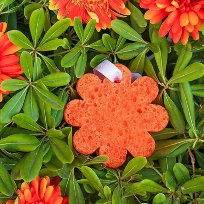 Flower-shaped orange sponge on green leaves with red flowers in the background