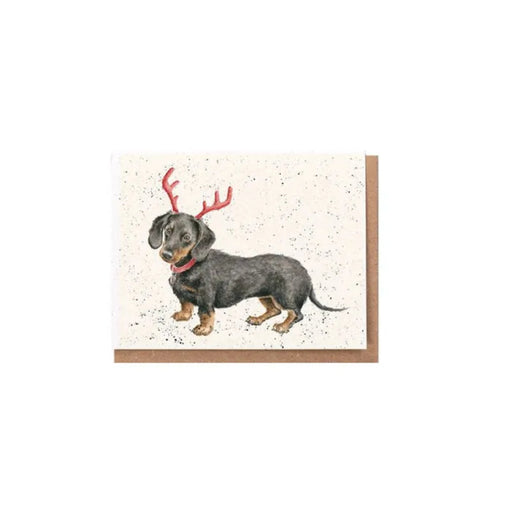 Wrendale Dachshund Through The Snow Christmas enclosure card with festive dachshund artwork and recycled kraft envelope.