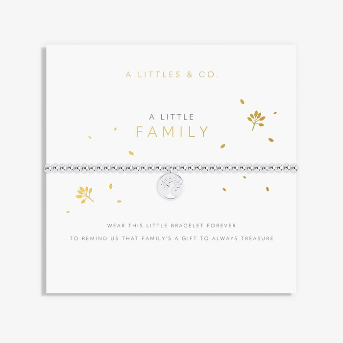 A Littles & Co. A Little Family bracelet displayed on keepsake card with silver tree charm and sentimental family message