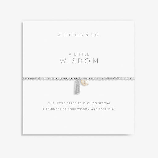 A Littles & Co A Little Wisdom bracelet displayed on sentiment card with silver beads, wisdom charm, and pearl