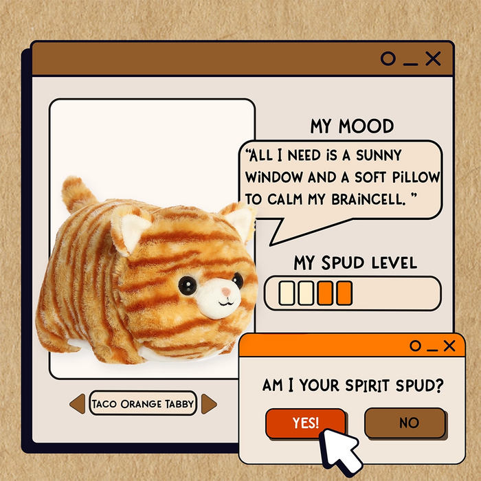 Aurora World Taco Orange Tabby Spudster plush lifestyle image with cozy mood and Spudster character card