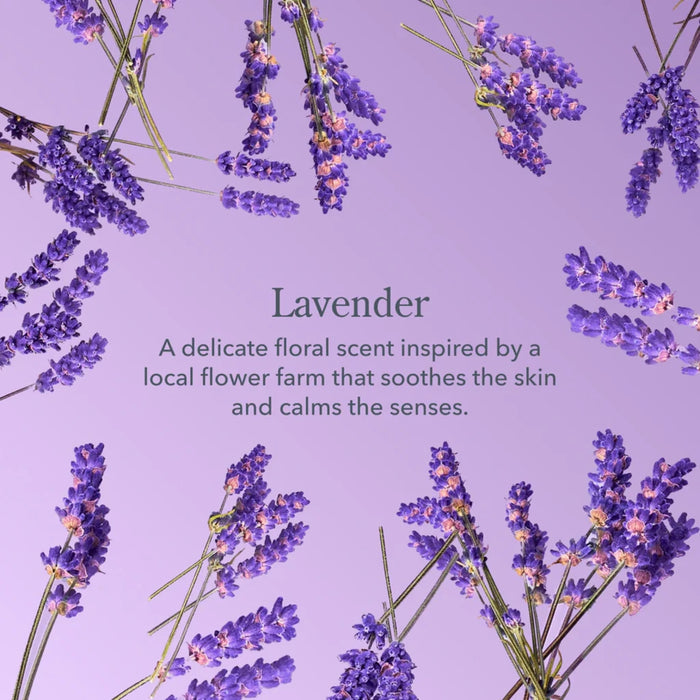 Lilac Dream offers a soothing lavender scent enriched with jasmine and rose petals, evoking a tranquil atmosphere.
